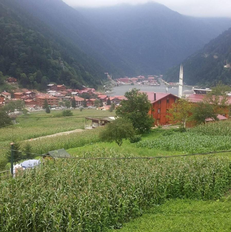 Zeren Bungalov Aparthotel Uzungöl Exterior foto