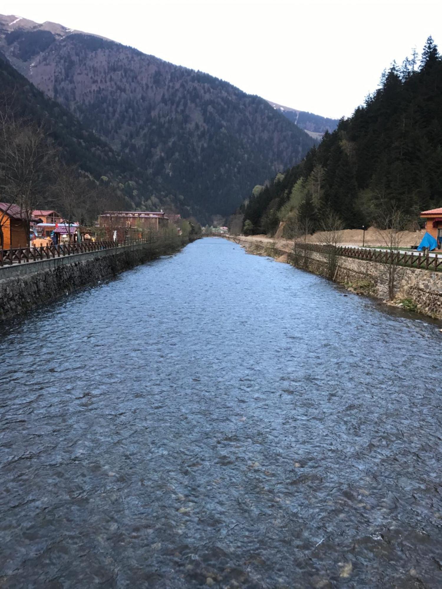 Zeren Apart Bungalov Uzungöl Exterior foto